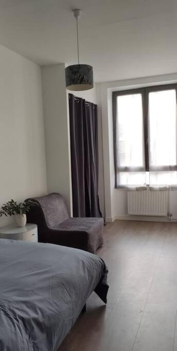 圣艾蒂安Logement 5 Personnes Proche Cv Et Parking Prive公寓 外观 照片