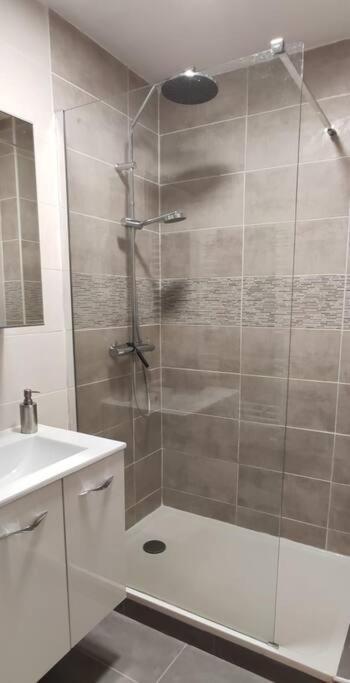 圣艾蒂安Logement 5 Personnes Proche Cv Et Parking Prive公寓 外观 照片