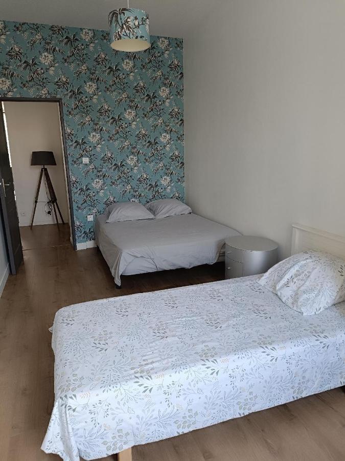 圣艾蒂安Logement 5 Personnes Proche Cv Et Parking Prive公寓 外观 照片